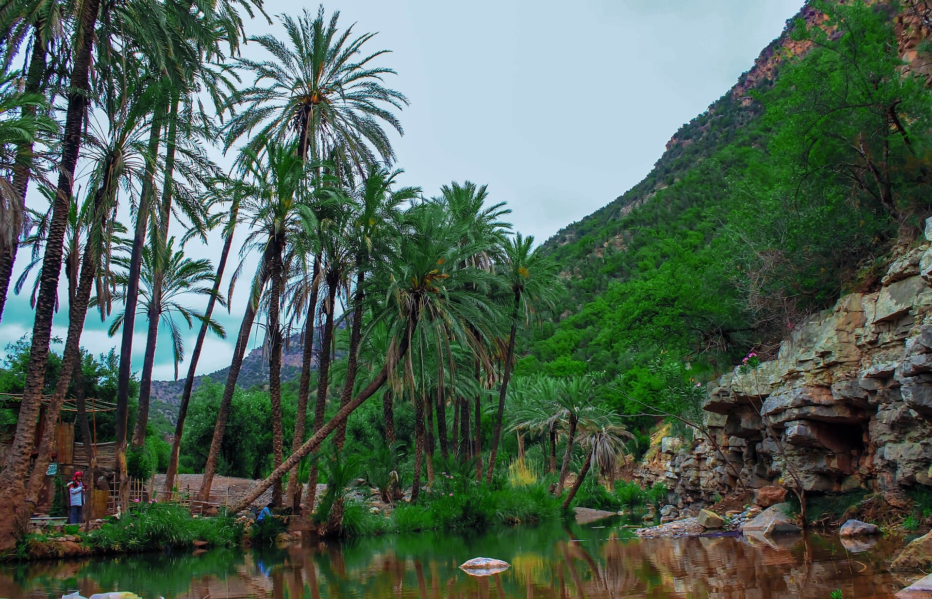 Palm trees and river in Paradise Valley, Morocco